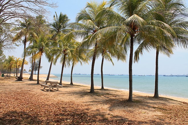 Du lich Singapore mien phi 5