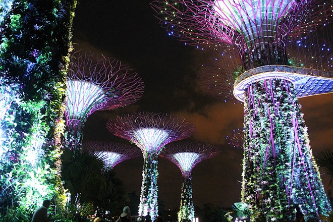 Du lich Singapore mien phi 6