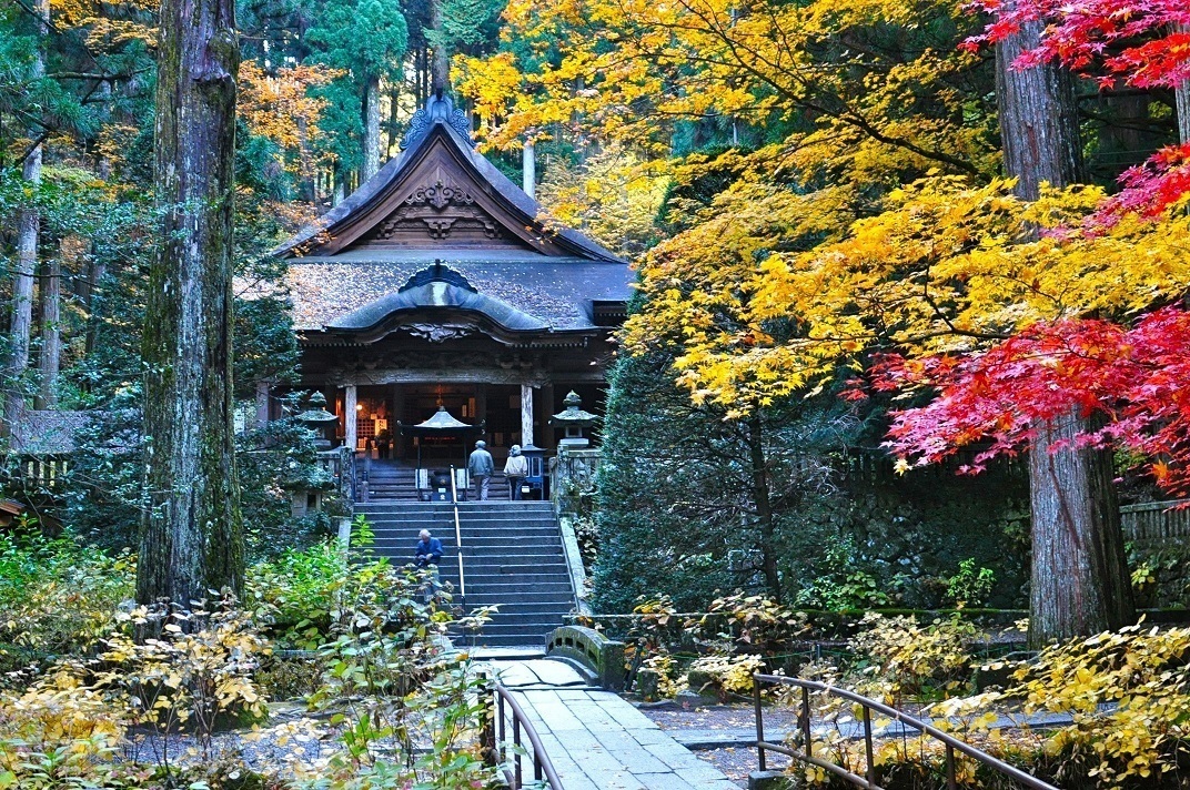 chua Zenko ji