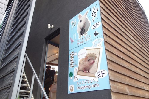 cafe nhim tokyo 2