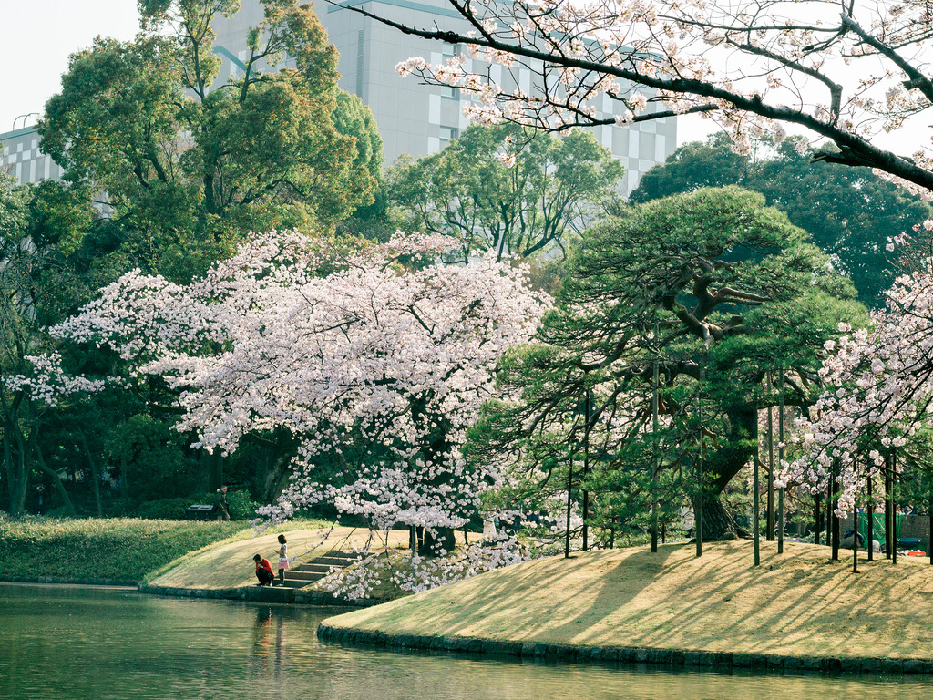 Koishikawa Korakuen 4