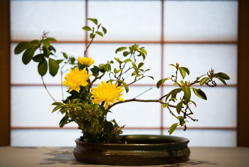 Ikebana 4