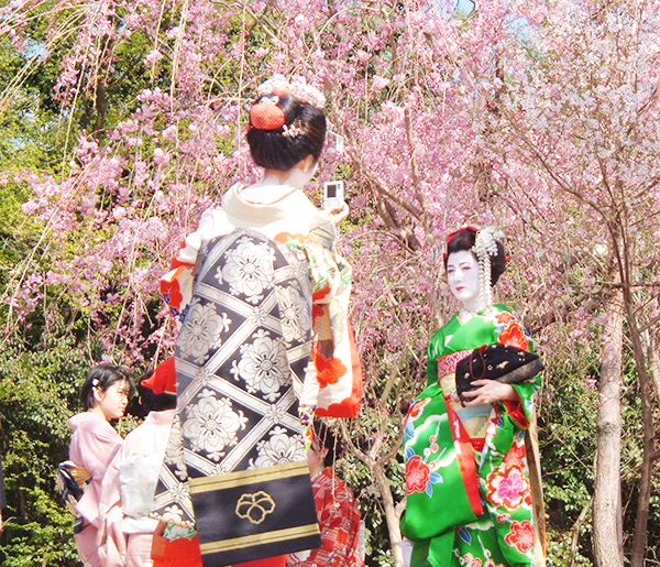 le hoi Hanami 5
