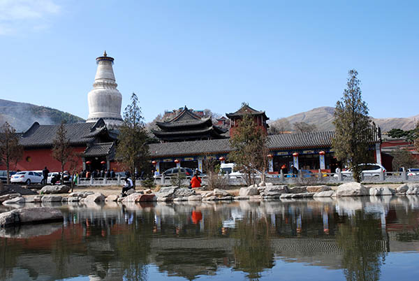ngu dai son 6