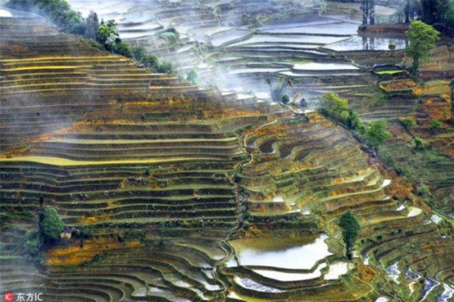 ruong bac thang hani hong ha 2