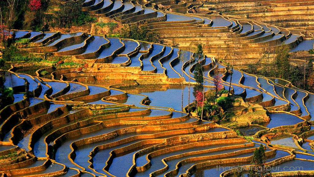 ruong bac thang hani hong ha 3