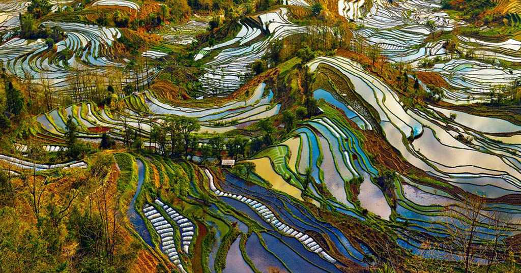ruong bac thang hani hong ha 7