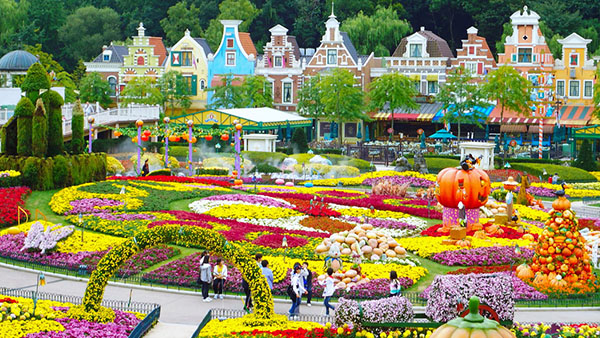 Everland 8
