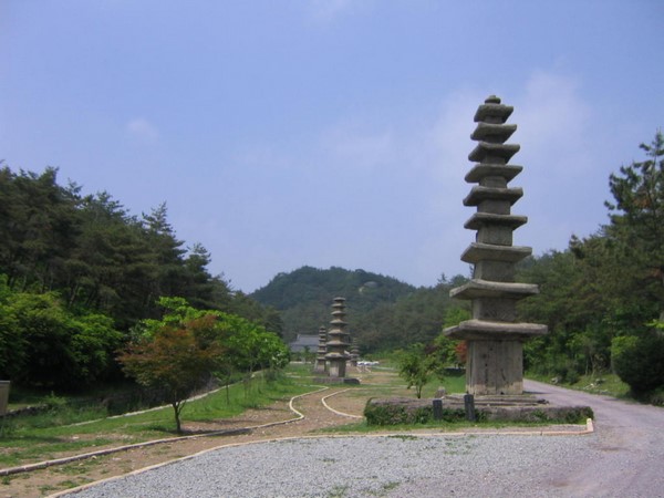 Unjusa 5