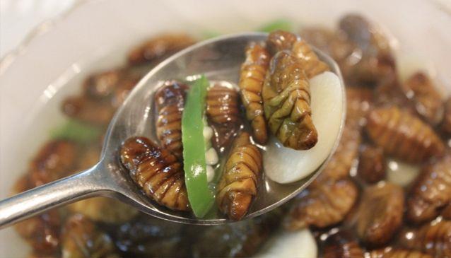 nhung mon an kinh di tai han quoc 10