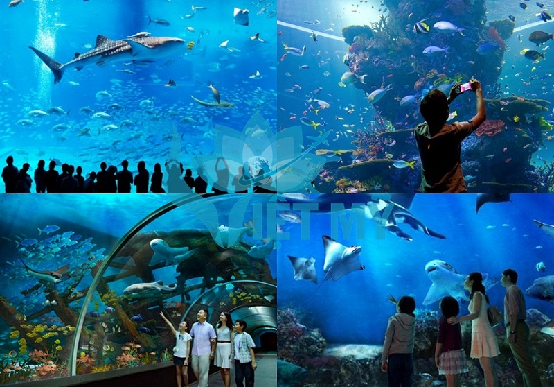 Thủy cung S.E.A Aquarium