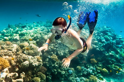 Đi bộ dưới đáy biển
