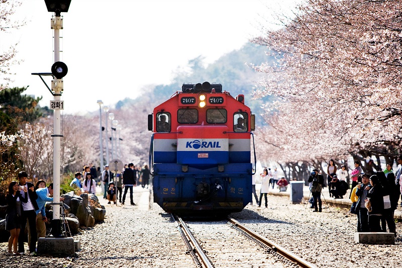 Di chuyển bằng tàu hỏa ở Hàn Quốc