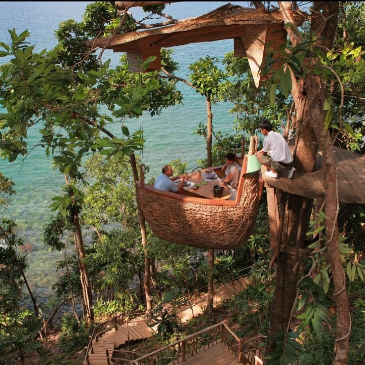 Thực khách sẽ được nhân viên phục vụ mang lên bằng zipline.