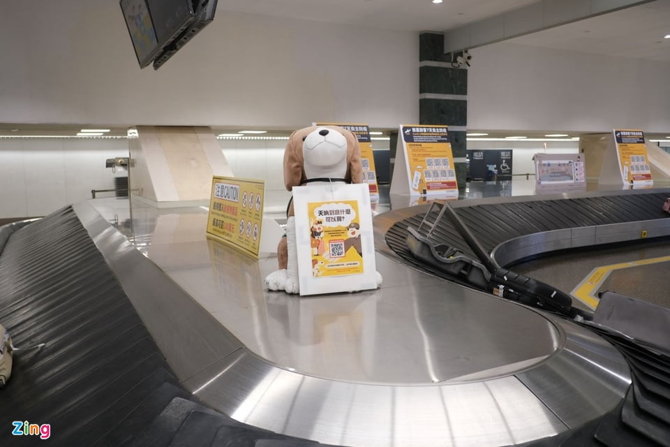 Chú chó giống Beagle sẽ đảm nhiệm công việc đánh hơi những thực phẩm cấm tại sân bay.