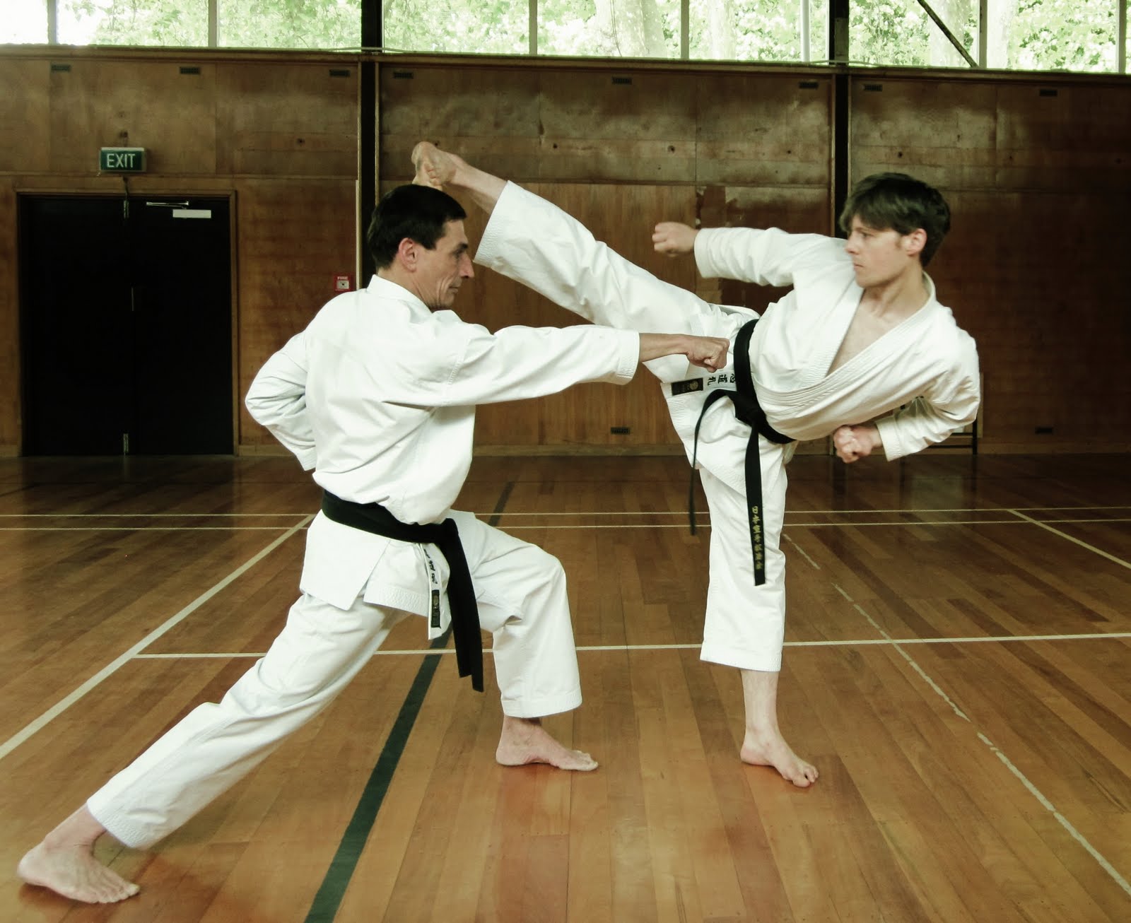 Karatedo - Võ thuật Nhật Bản