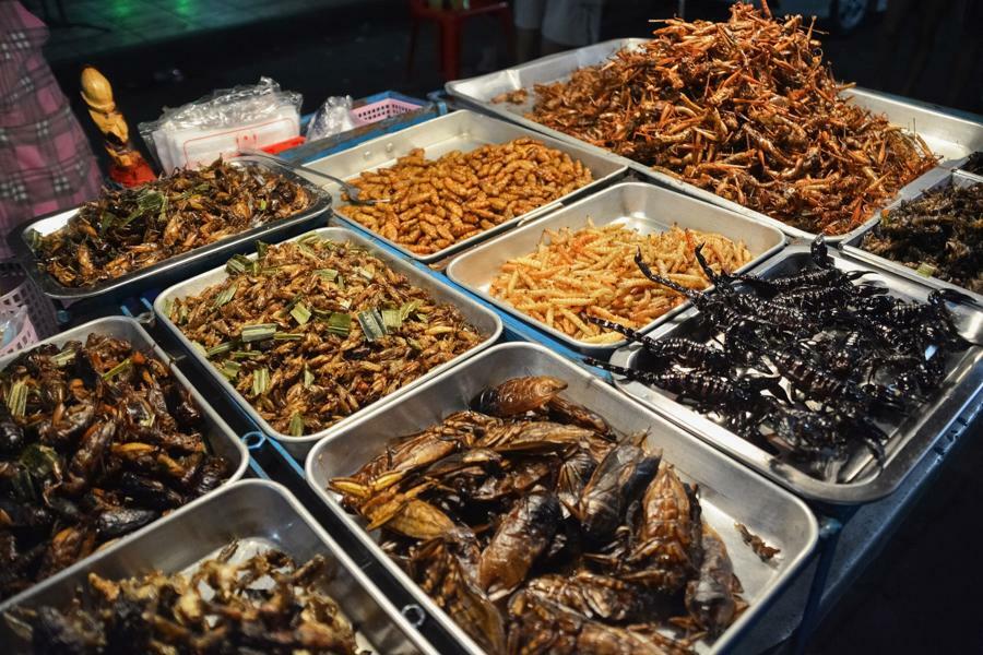 Nhiều món ăn được chế biến từ côn trùng