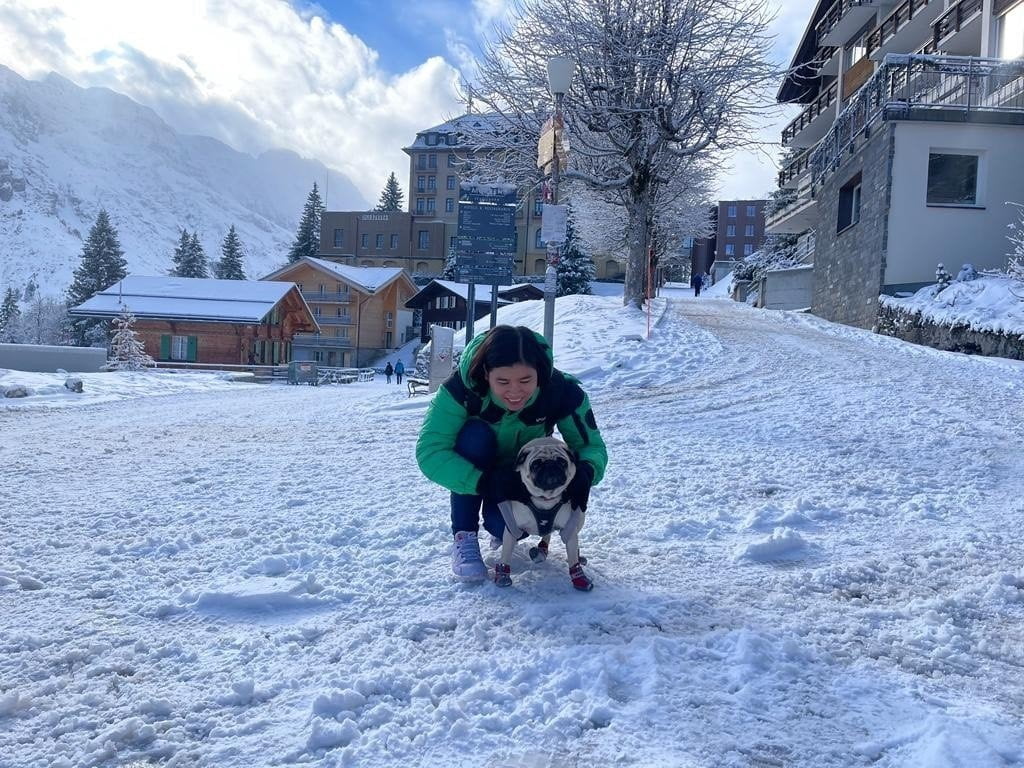 Phan Anh trượt tuyết cùng thú cưng của mình