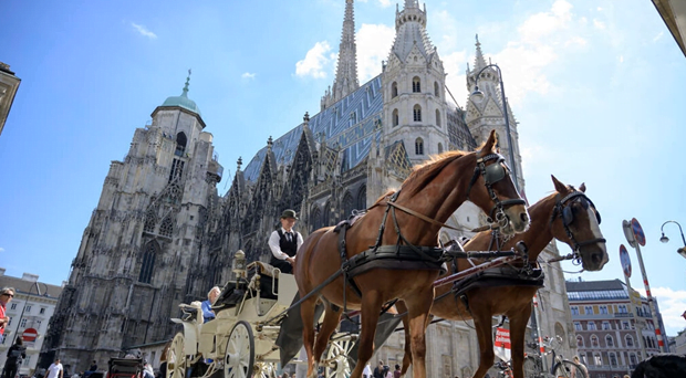Thành phố Vienna mang đến sự pha trộn hấp dẫn giữa văn hóa, ẩm thực và lịch sử