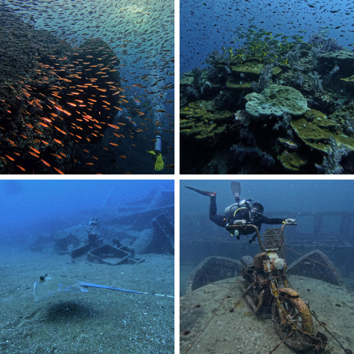 Richelieu Rock là điểm lặn có nhiều loài cá và số lượng lớn nhất.