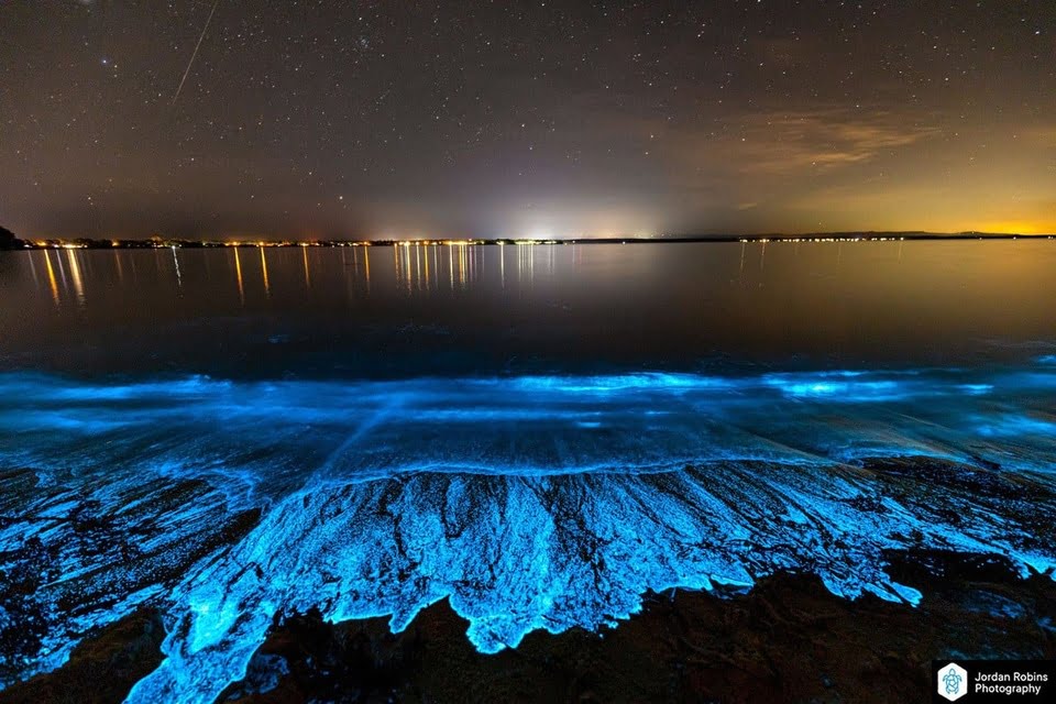 Vịnh Jervis, Australia trong ánh sáng ảo diệu của các loài vi sinh vật phù du