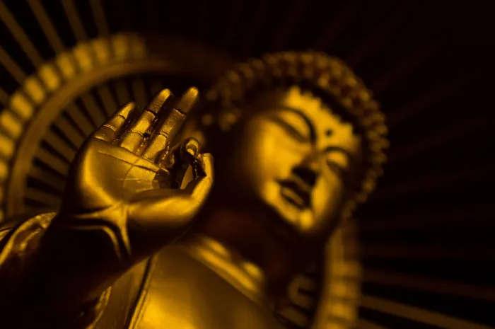 vhông khí trang nghiêm và linh thiêng của cõi Phật bên trọng đại tượng