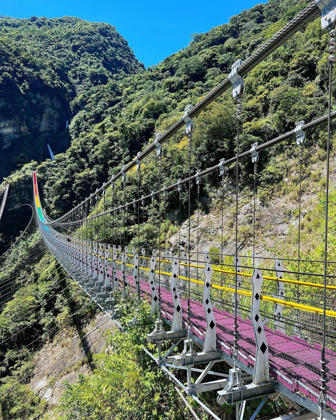 Cận cảnh cây cầu treo cầu vồng Đài Loan.