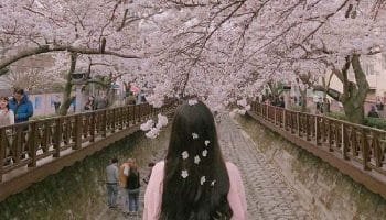 Du lịch Hàn Quốc tháng 5 có gì?