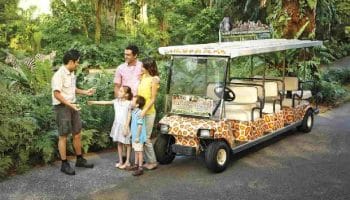 Kinh nghiệm du lịch Singapore cho trẻ em 2023