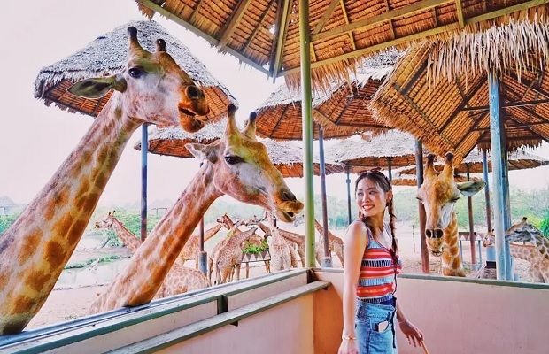 Vui chơi tại vườn thú mở lớn nhất của thế giới.