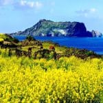 10-dia-diem-moi-duoc-cap-nhat-khi-du-lich-Han-Quoc