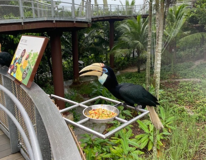 Bird Paradise rộng 17 hecta. 