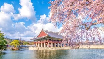 Gợi ý lịch trình du lịch Hàn Quốc 4 ngày 3 đêm