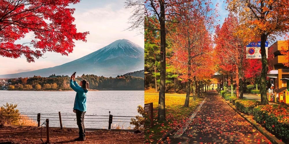 Du khách nên du lịch Hokkaido Nhật Bản vào thu