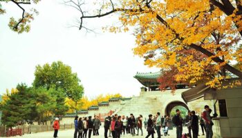 6 lưu ý quan trọng khi đi du lịch Hàn Quốc