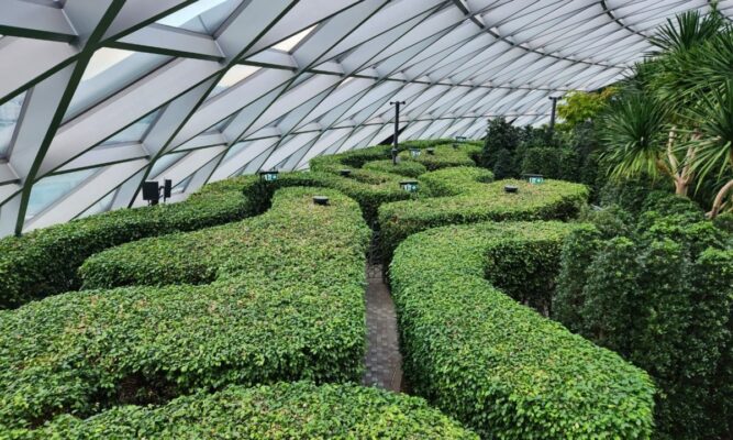 Mê cung xanh Hedge Maze