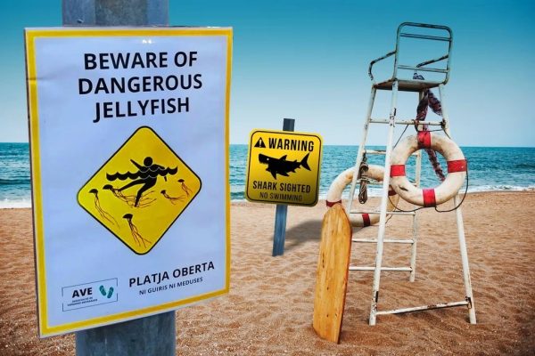 Biển cảnh báo giả mạo ở Tây Ban Nha ngăn du khách ghé thăm. 