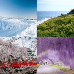 Điểm đến tuyệt vời khác để khám phá ngoài Tokyo và Kyoto?