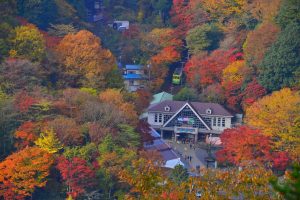 Dẫn đường cho hành trình du lịch mùa thu tại Nhật Bản
