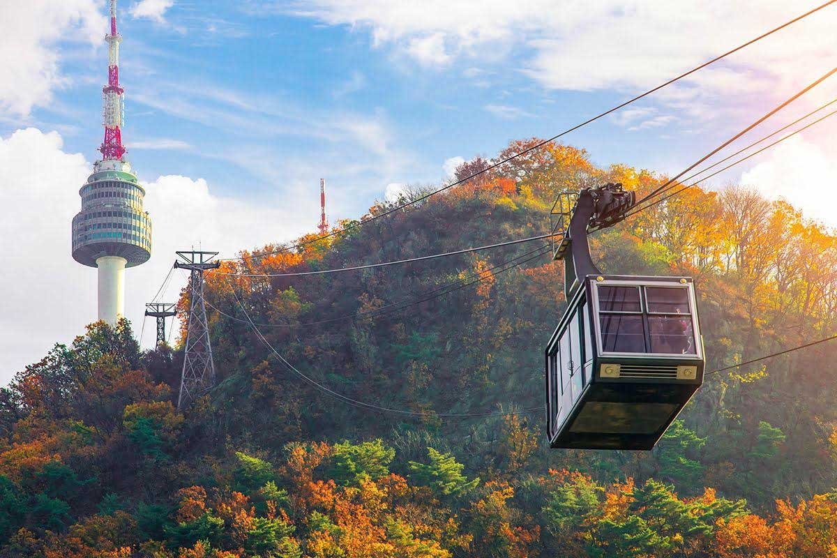 Di chuyển bằng cáp treo lên tháp Namsan. 