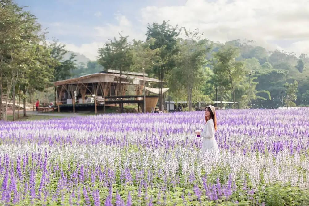 Khao Yai - "Nước Ý thu nhỏ" giữa lòng xứ Chùa Vàng